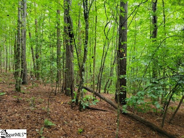 Se Side Wildcat Road Pickens, SC 29671 - Photo 3 of 15