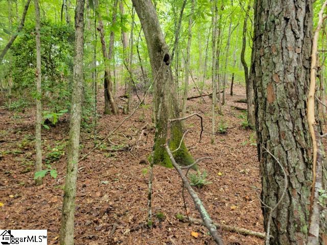 Se Side Wildcat Road Pickens, SC 29671 - Photo 4 of 15