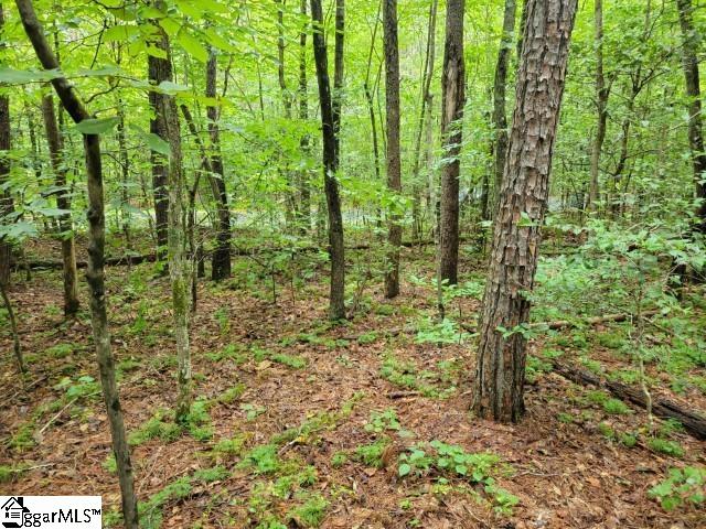 Se Side Wildcat Road Pickens, SC 29671 - Photo 5 of 15