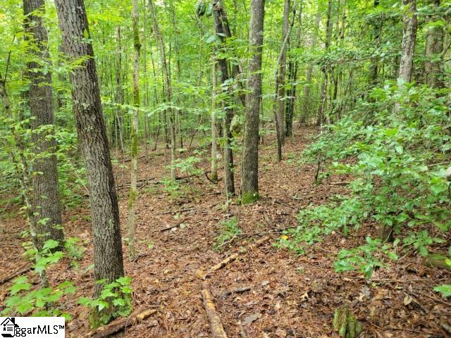 Se Side Wildcat Road Pickens, SC 29671 - Photo 8 of 15