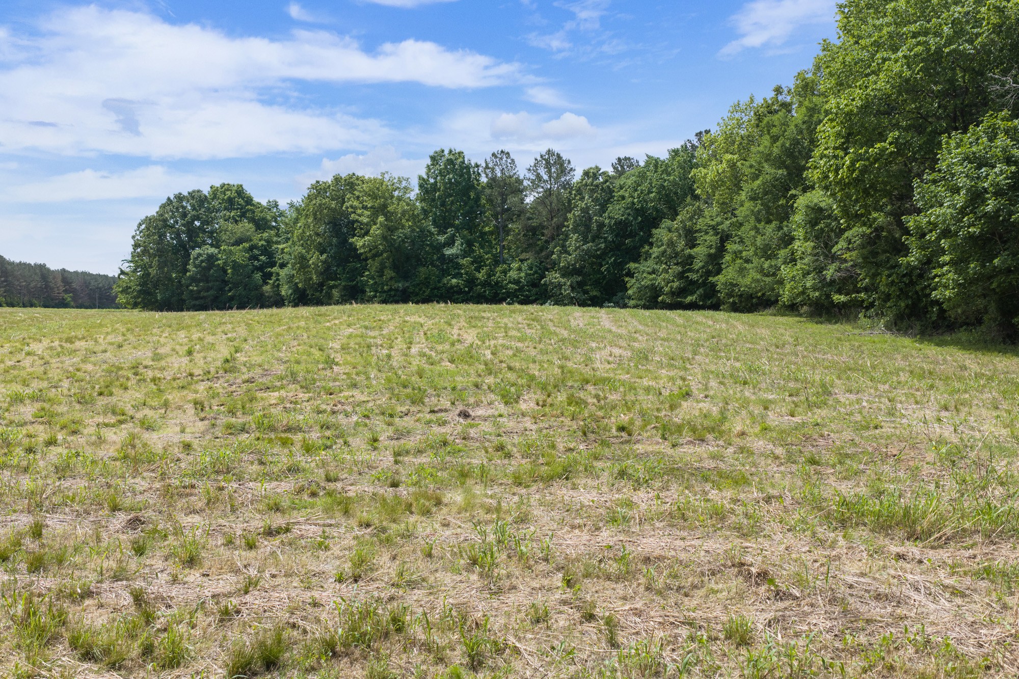 0 Mann Road Hollow Rock, TN 38342 - Photo 7 of 14