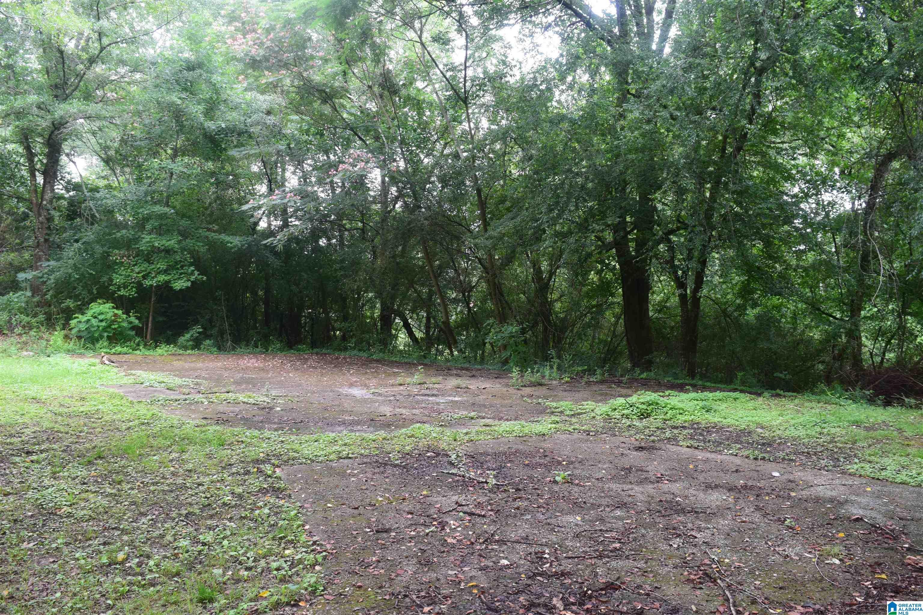 7555 Old Short Creek Road Mulga, AL 35118 - Photo 15 of 40 Gallery Image 15