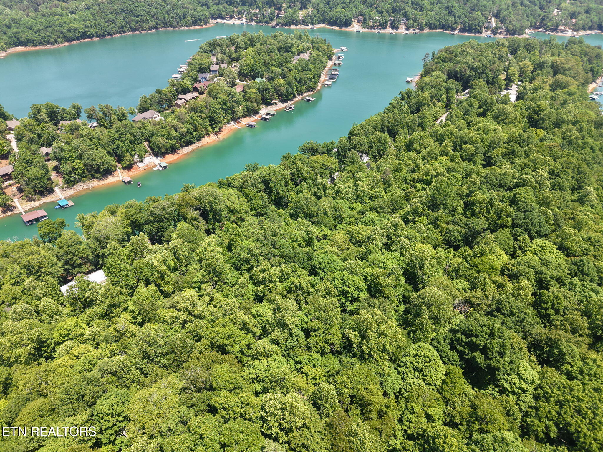 Yoakum Hollow Road Jacksboro, TN 37757 - Photo 15 of 17 1-web-or-mls-DJI_20260518131527_0030_D