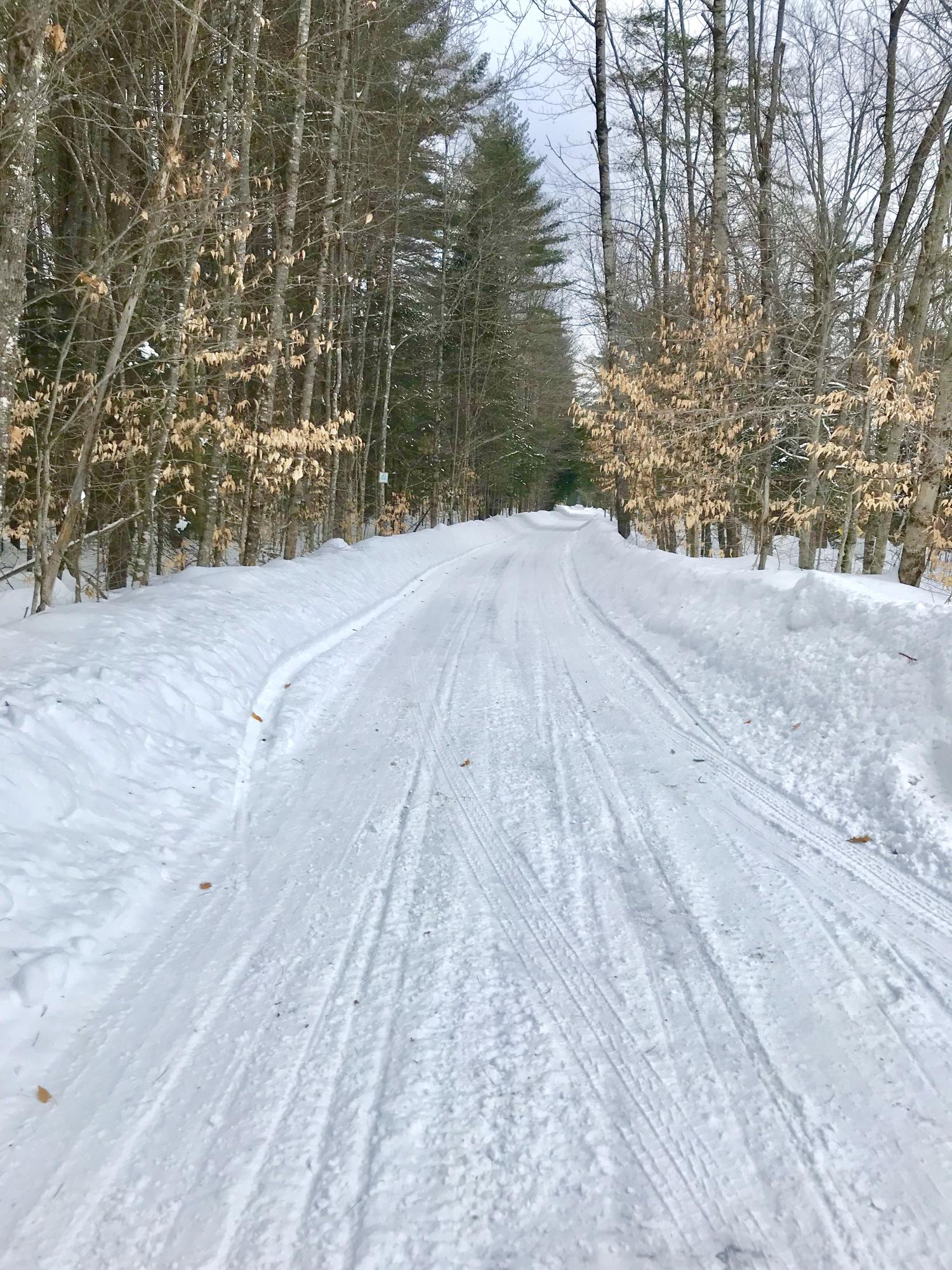 367 Railroad Bed Road Buckfield, ME 04220 - Photo 6 of 11 02415FAE-3B6C-4A8E-81C7-A7899606D045