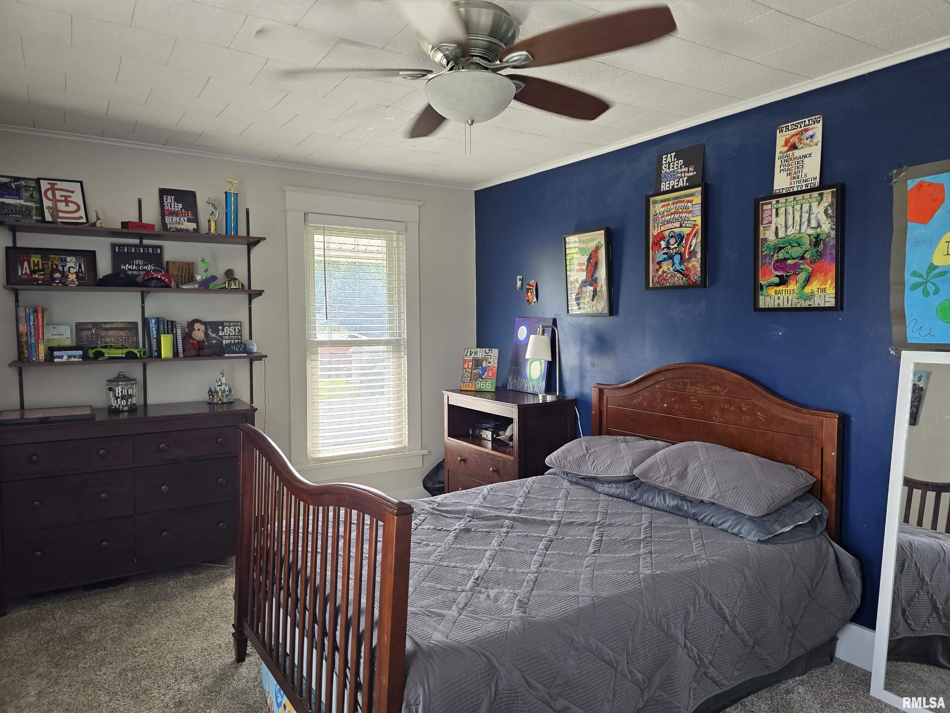 131 West Olive Street Canton, IL 61520 - Photo 43 of 76