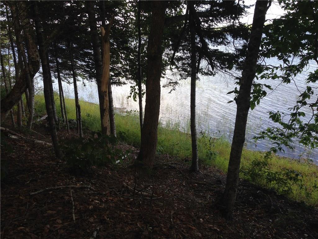 25 Roy's Way Perry, ME 04667 - Photo 12 of 35 View through tree line of Boyden Lake.