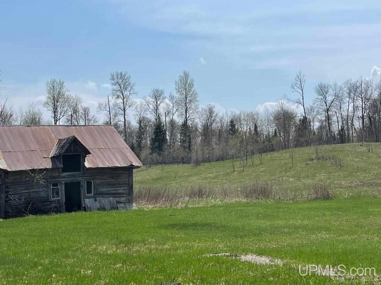 207 West Townline Road Crystal Falls, MI 49920 - Photo 27 of 37 Gallery Image 27