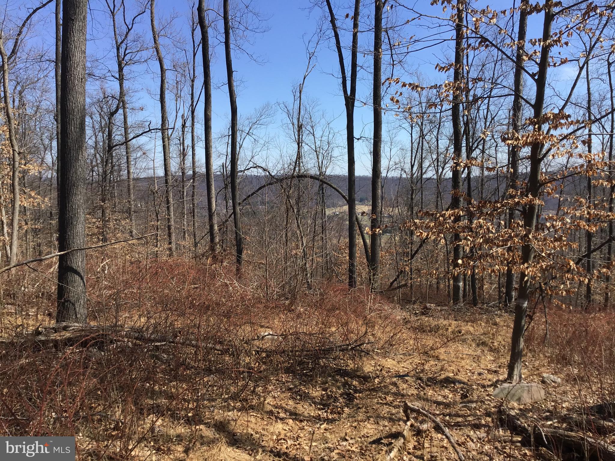 Kaetzel Road Rohrersville, MD 21779 - Photo 8 of 15 Gallery Image 8