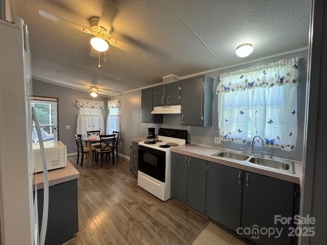 1761 Finch Farm Road, Unit 4 Trinity, NC 27370 - Photo 7 of 37 a kitchen with a sink appliances and cabinets