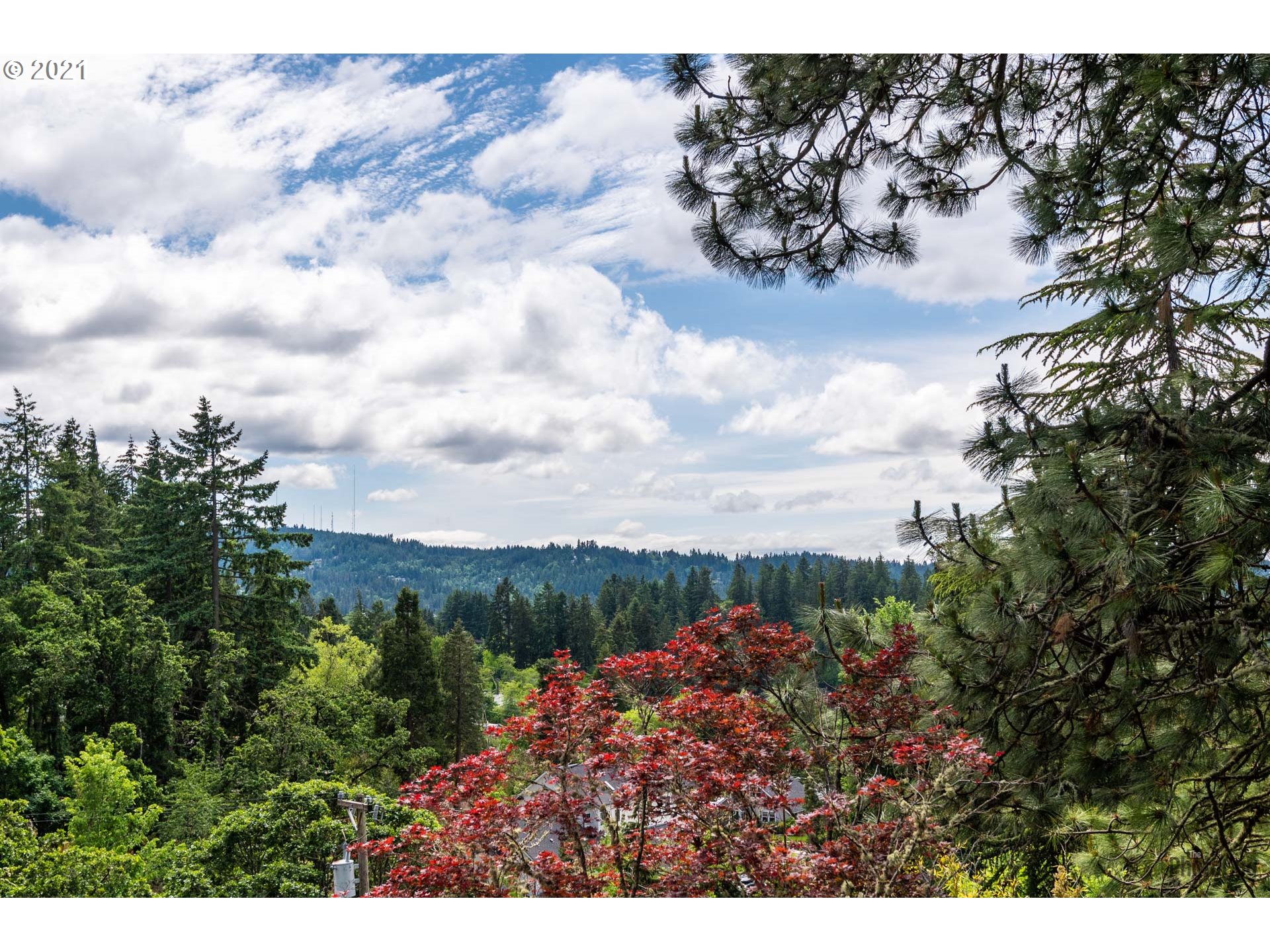 2400 Spring Boulevard Eugene, OR 97403 - Photo 28 of 32 Gallery Image 28