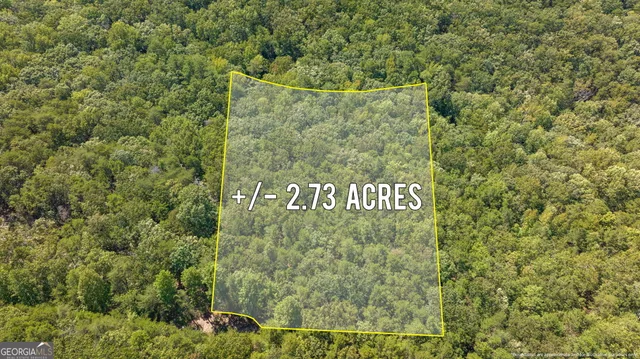 a view of outdoor space with signage and flags