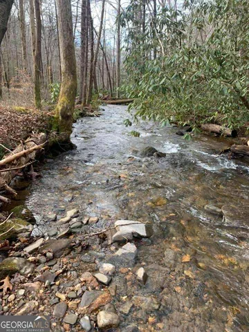 $30,000 | 0 Acerose Court, Jasper, GA 30143