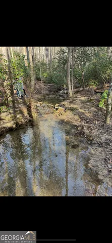 $30,000 | 0 Acerose Court, Jasper, GA 30143