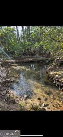 $30,000 | 0 Acerose Court, Jasper, GA 30143