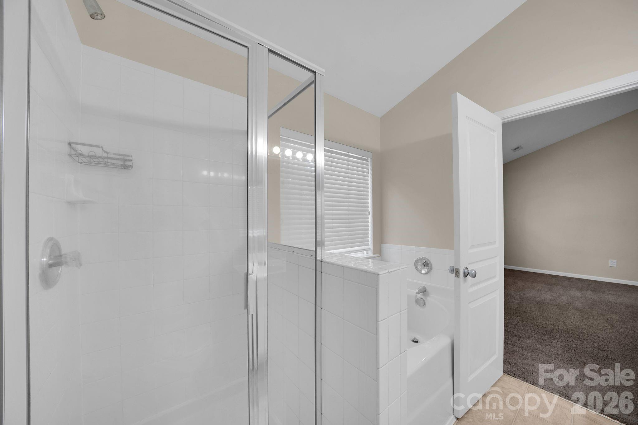 3917 Caliper Place Fort Mill, SC 29708 - Photo 14 of 22
