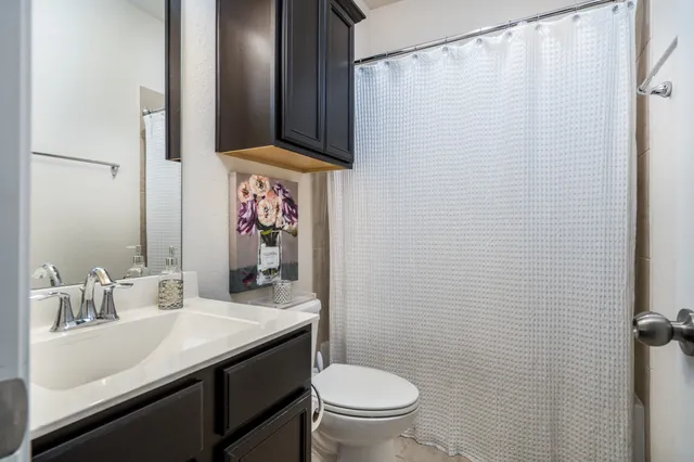 a bathroom with a sink a toilet and shower curtain