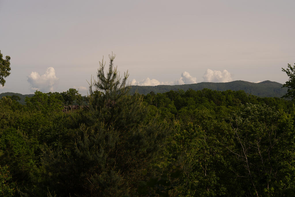 1 Century Lane Blue Ridge, GA 30513 - Photo 33 of 54 Gallery Image 33