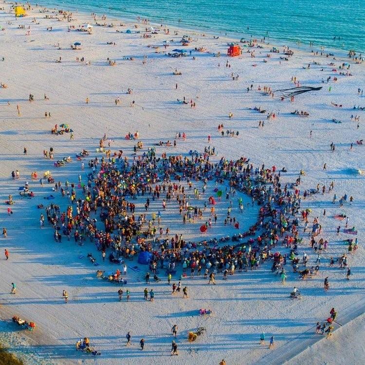 1624 Stickney Point Road, Unit 1624301 Sarasota, FL 34231 - Photo 52 of 55