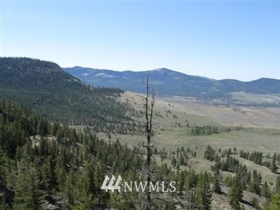 -tbd29 Musket Ridge Road Riverside, WA 98849 - Photo 1 of 1 Gallery Image 1
