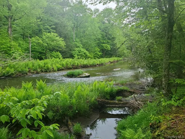 $299,000 | Tbd Creamery Road, Mongaup Valley, NY 12720