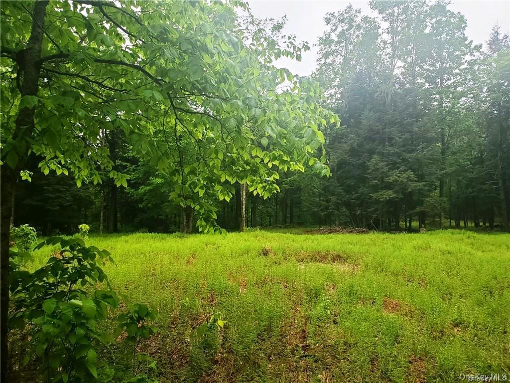 Tbd Creamery Road Mongaup Valley, NY 12720 - Photo 11 of 15