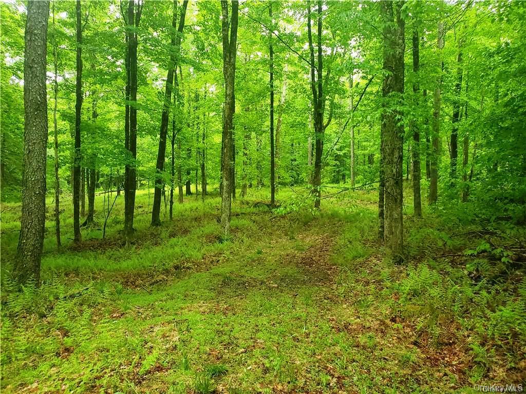 Tbd Creamery Road Mongaup Valley, NY 12720 - Photo 12 of 15