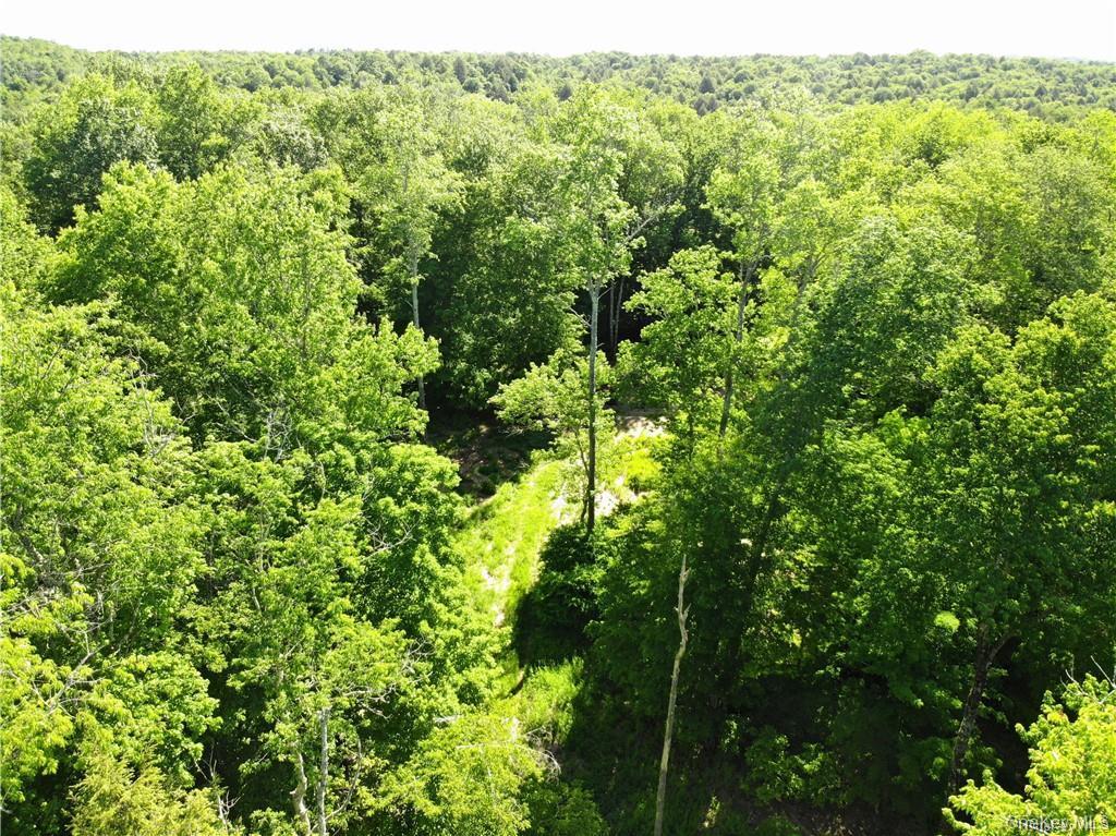Tbd Creamery Road Mongaup Valley, NY 12720 - Photo 13 of 15 Drone / aerial view of a forest
