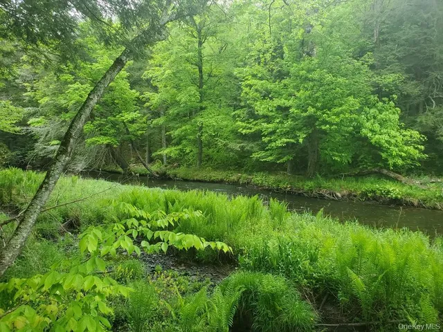 a view of a lush green forest with lots of trees