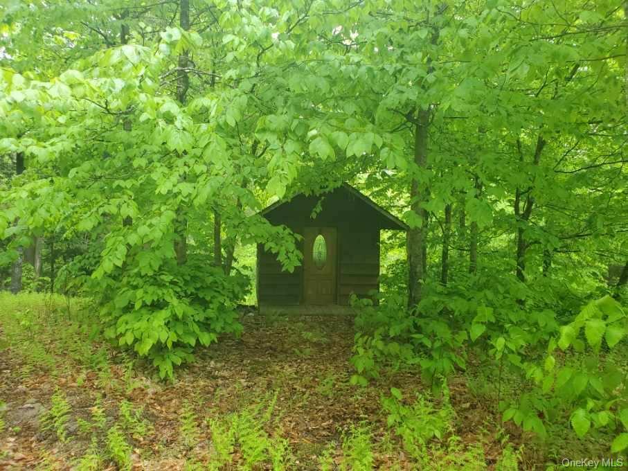 Tbd Creamery Road Mongaup Valley, NY 12720 - Photo 4 of 15