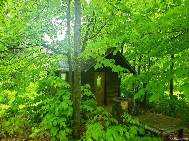 a plant view in yard