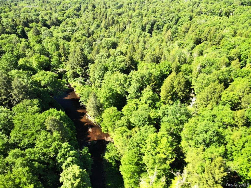 Tbd Creamery Road Mongaup Valley, NY 12720 - Photo 6 of 15