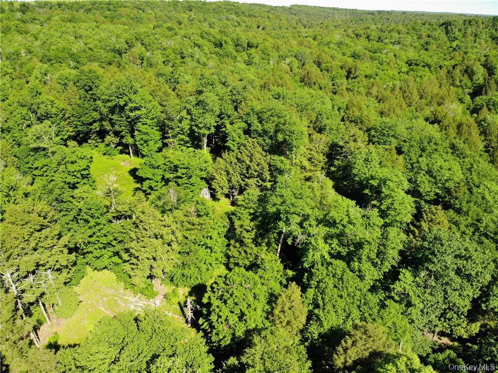 Tbd Creamery Road Mongaup Valley, NY 12720 - Photo 7 of 15 cleared areas