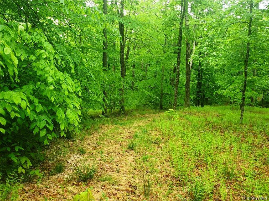 Tbd Creamery Road Mongaup Valley, NY 12720 - Photo 8 of 15