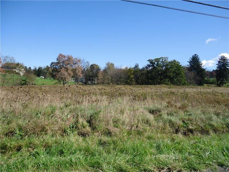 Lot 1 Settler Road Ligonier, PA 15658 - Photo 2 of 4 a view of a field with trees in background