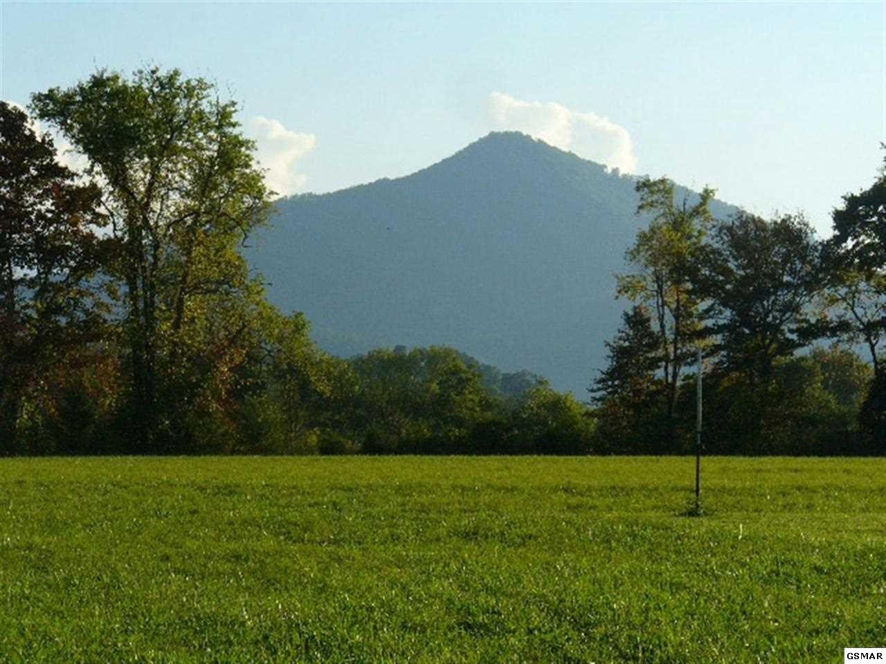 2 Wears Valley Road Sevierville, TN 37862 - Photo 3 of 14
