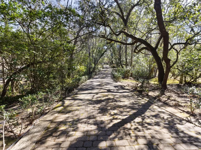 a view of swimming pool with large trees and plants
