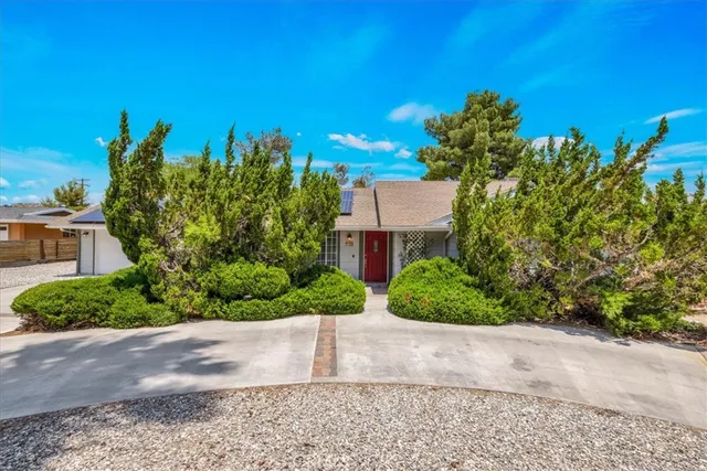 a view of road with large trees