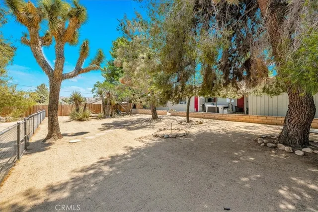 a view of a yard with a tree