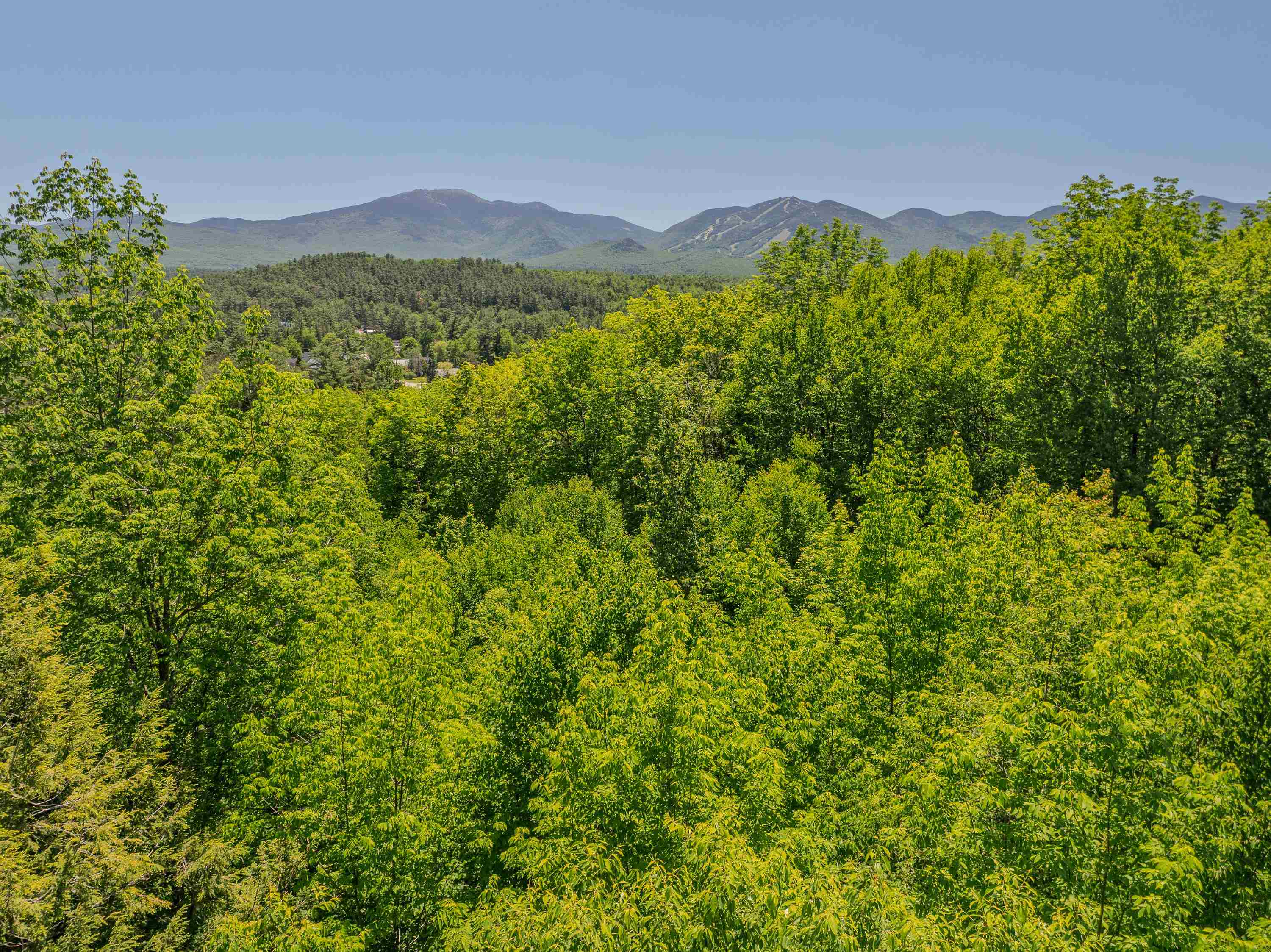 0 Iron Foundry Road Franconia, NH 03580 - Photo 23 of 55