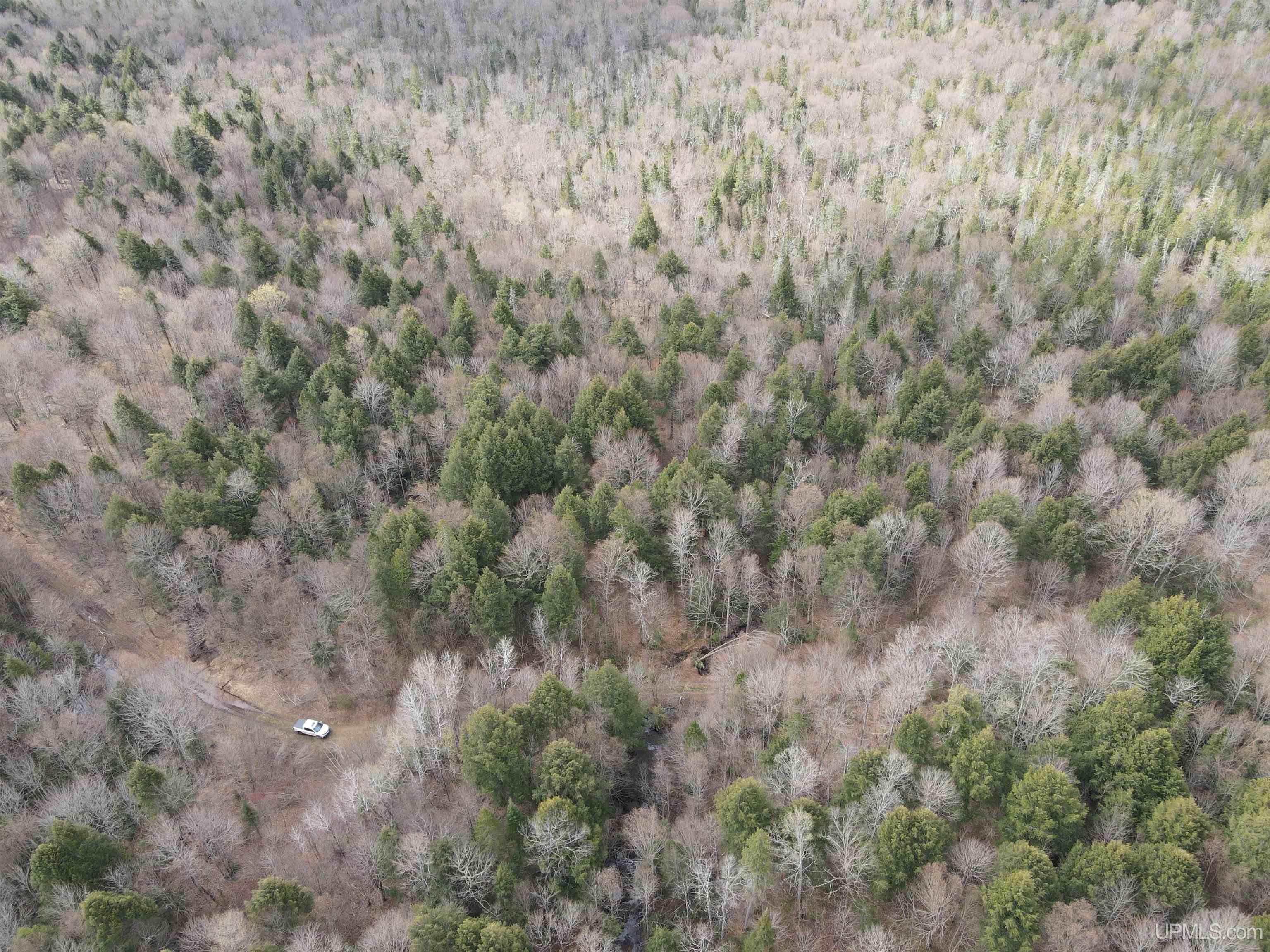 Off Black River Road Ironwood, MI 49938 - Photo 7 of 31