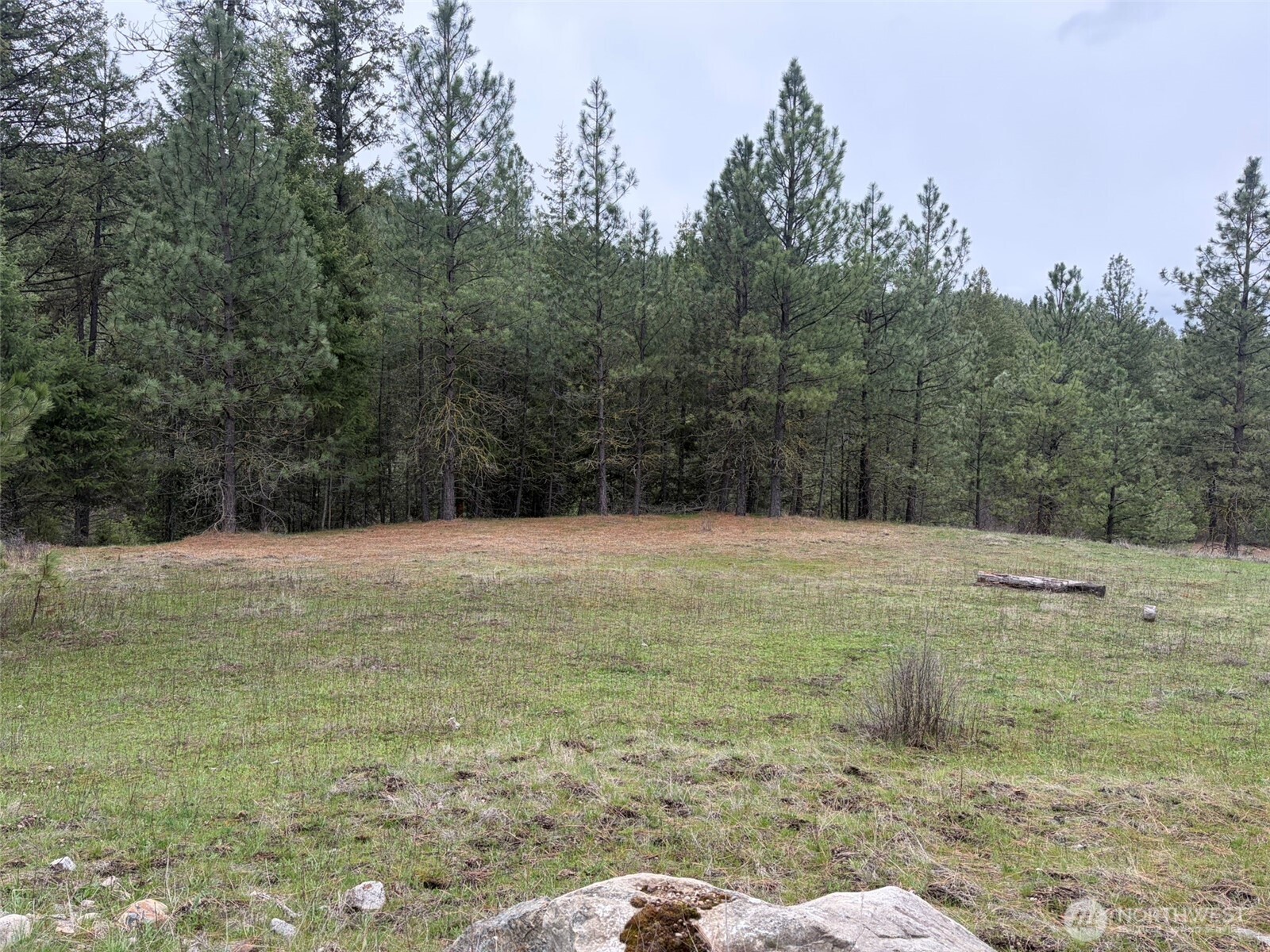111-tbd Fish Hatchery Road Republic, WA 99166 - Photo 1 of 15