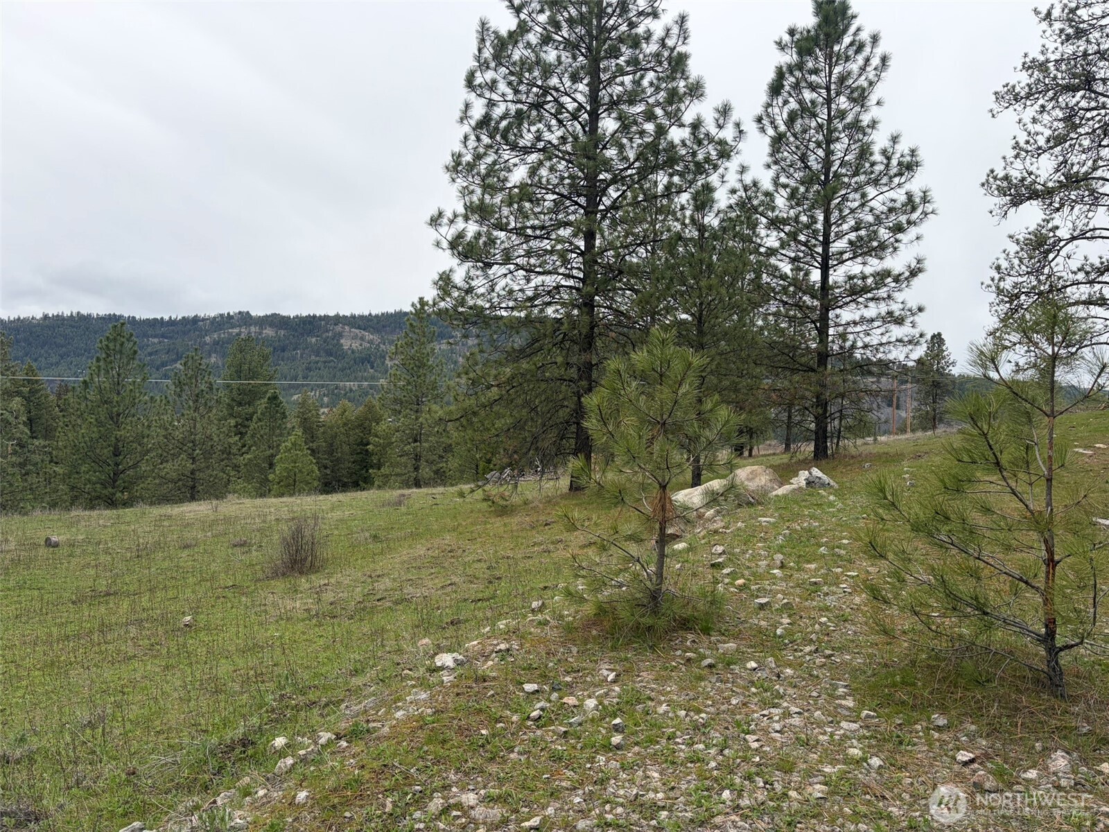 111-tbd Fish Hatchery Road Republic, WA 99166 - Photo 11 of 15