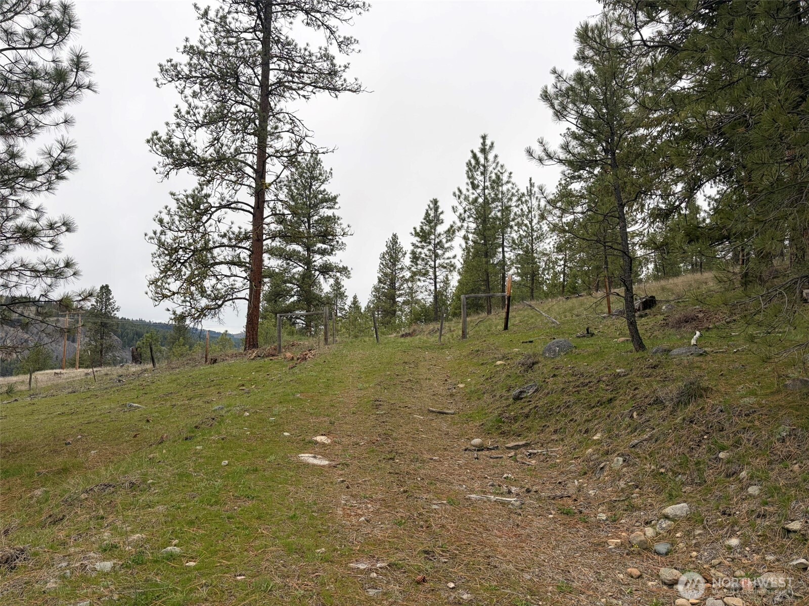 111-tbd Fish Hatchery Road Republic, WA 99166 - Photo 12 of 15