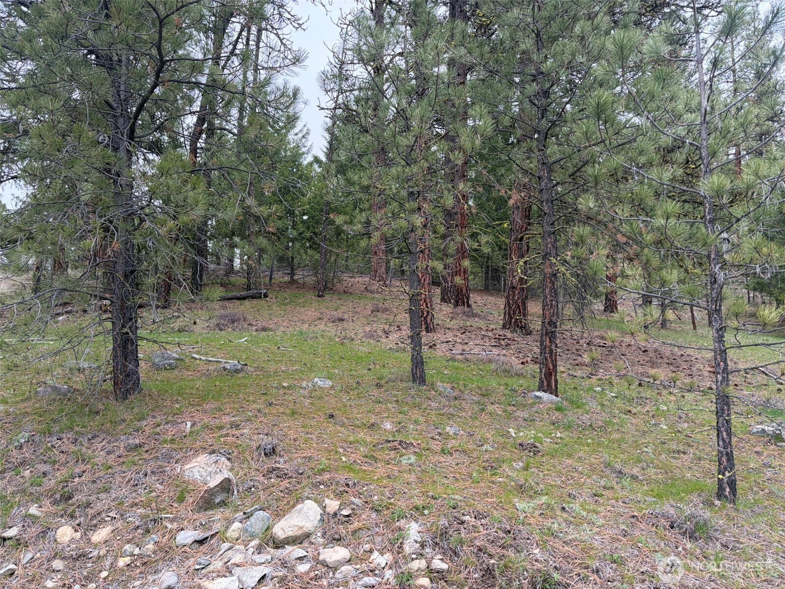 111-tbd Fish Hatchery Road Republic, WA 99166 - Photo 13 of 15