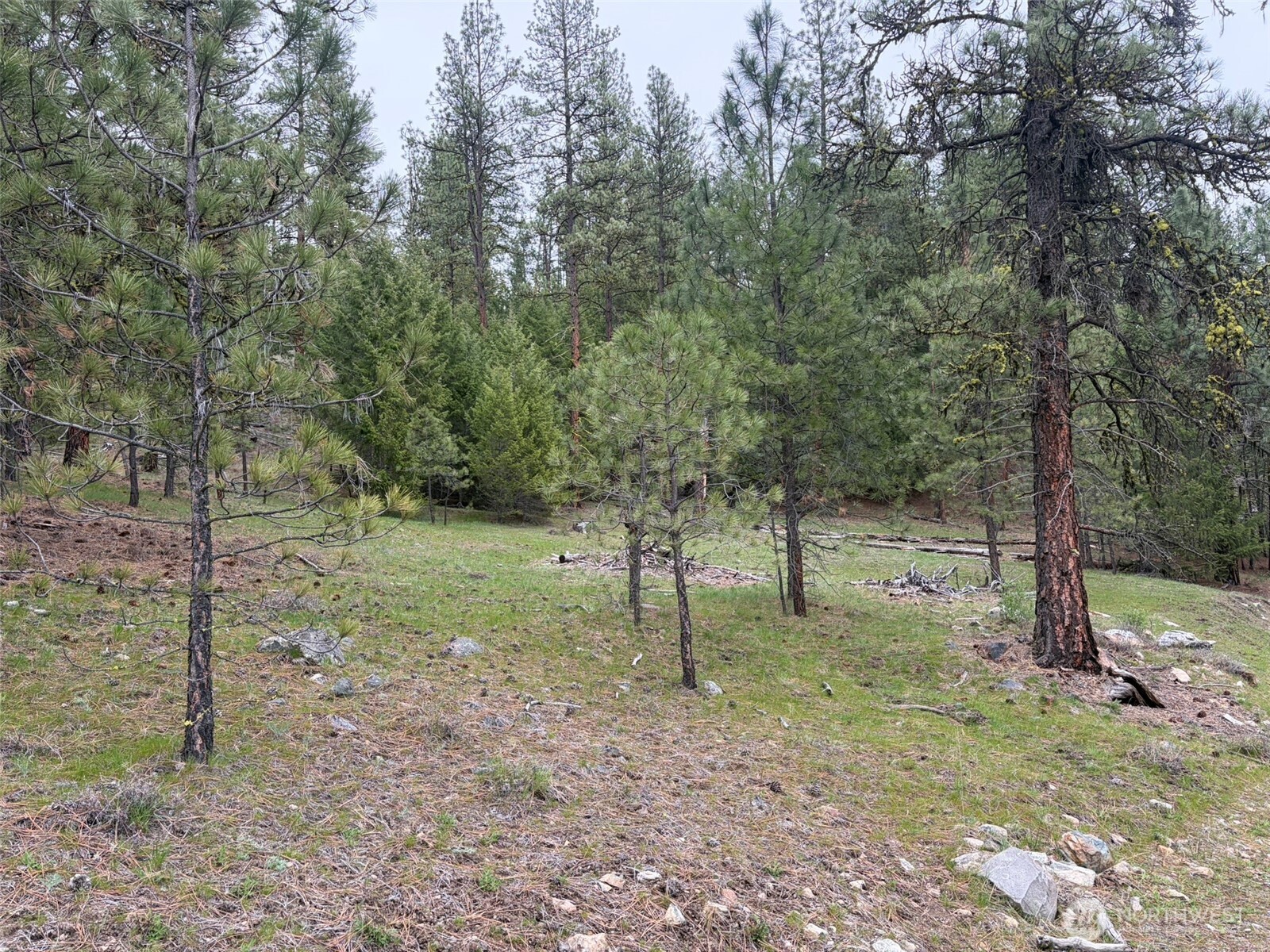 111-tbd Fish Hatchery Road Republic, WA 99166 - Photo 14 of 15