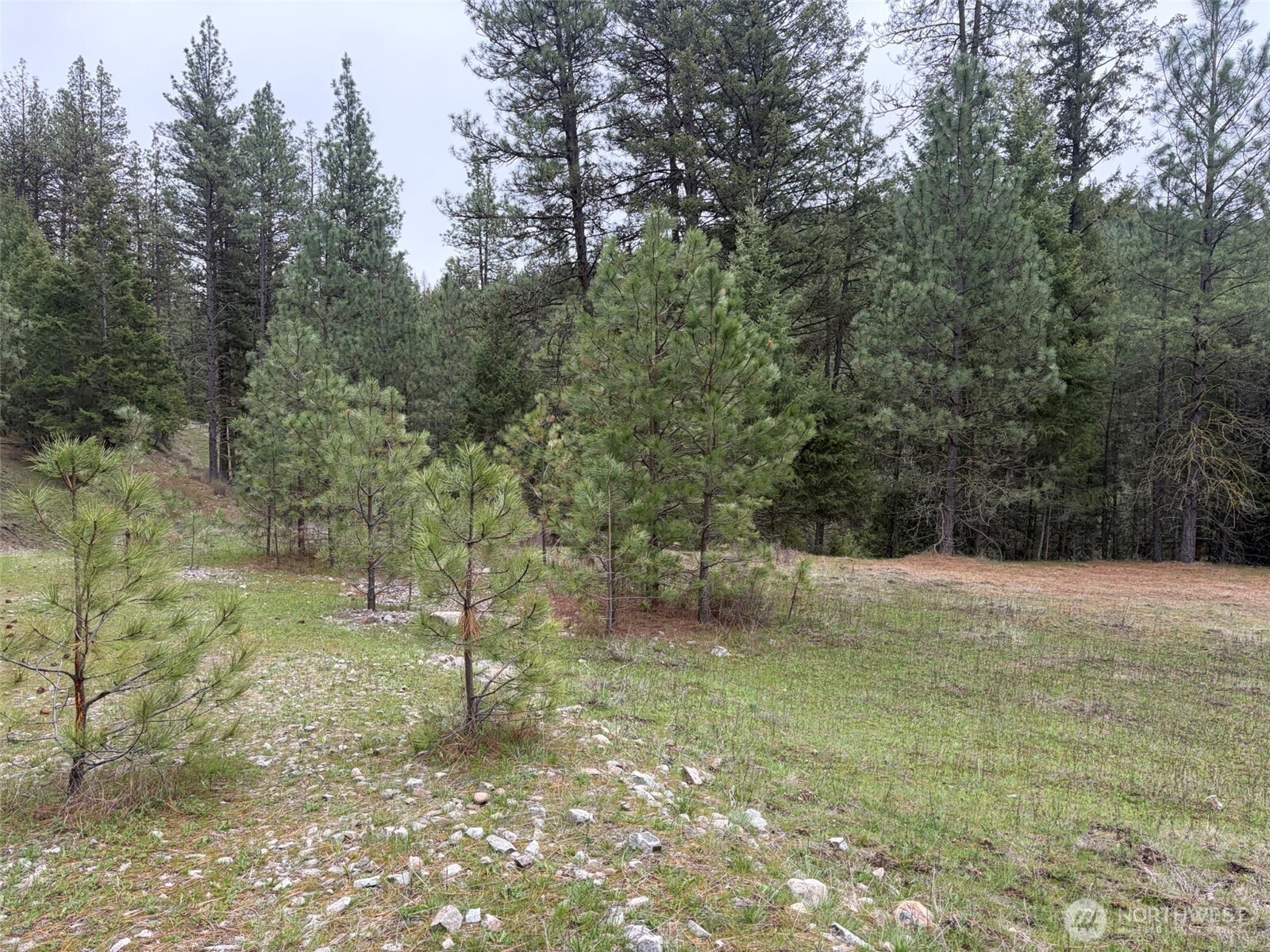 111-tbd Fish Hatchery Road Republic, WA 99166 - Photo 15 of 15