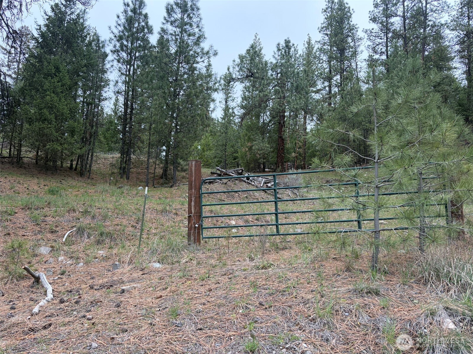 111-tbd Fish Hatchery Road Republic, WA 99166 - Photo 2 of 15