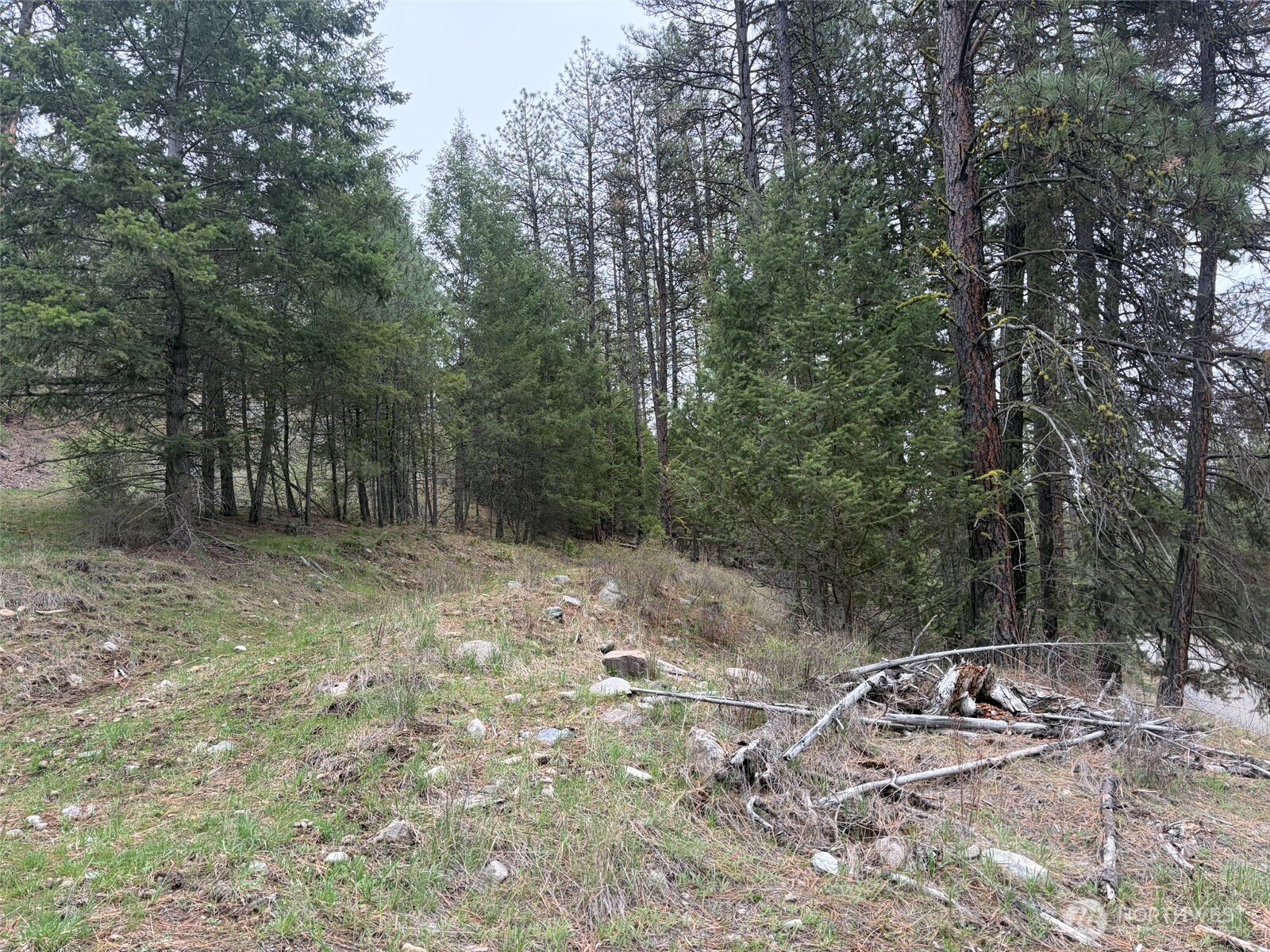 111-tbd Fish Hatchery Road Republic, WA 99166 - Photo 3 of 15