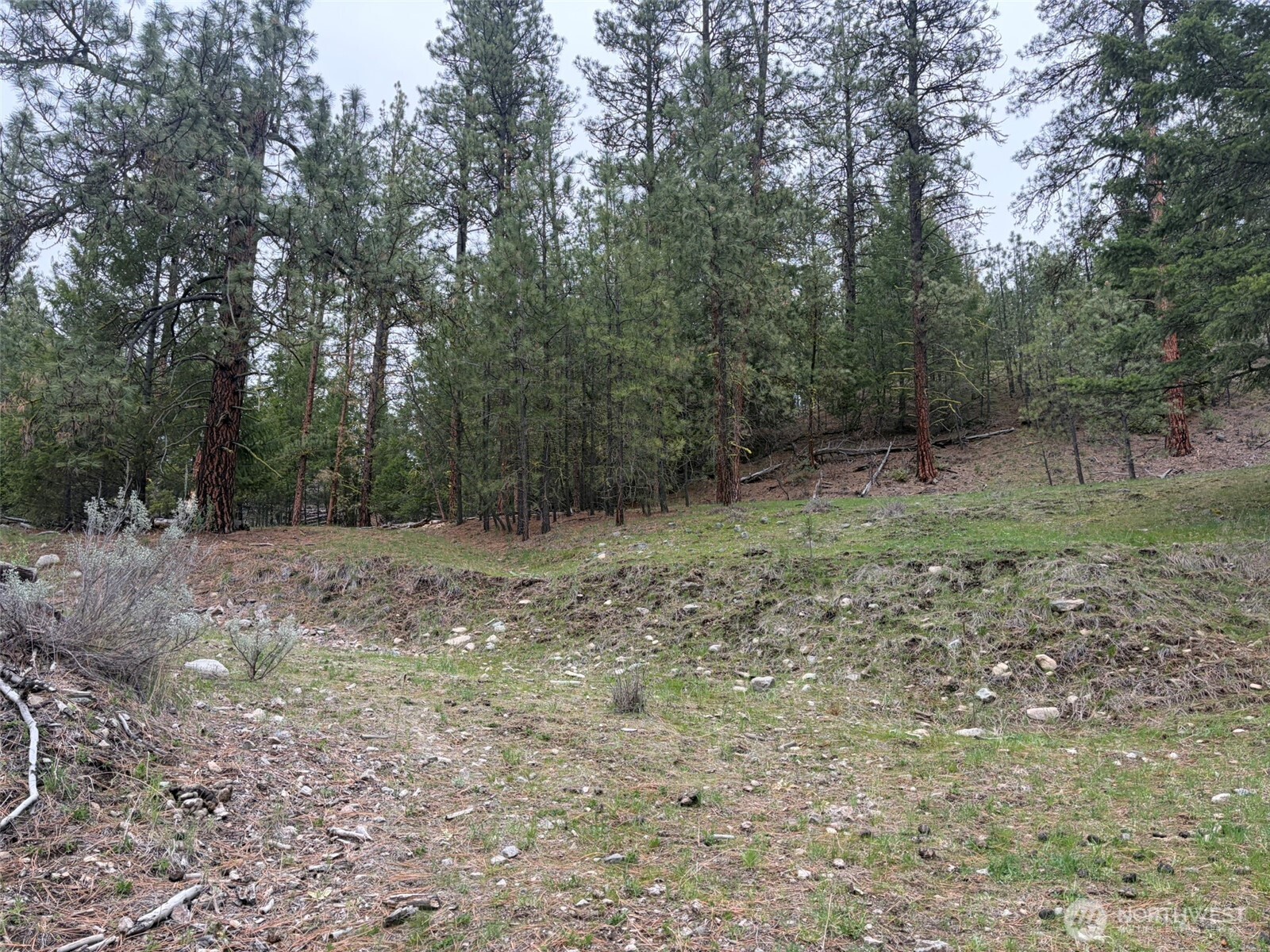 111-tbd Fish Hatchery Road Republic, WA 99166 - Photo 4 of 15