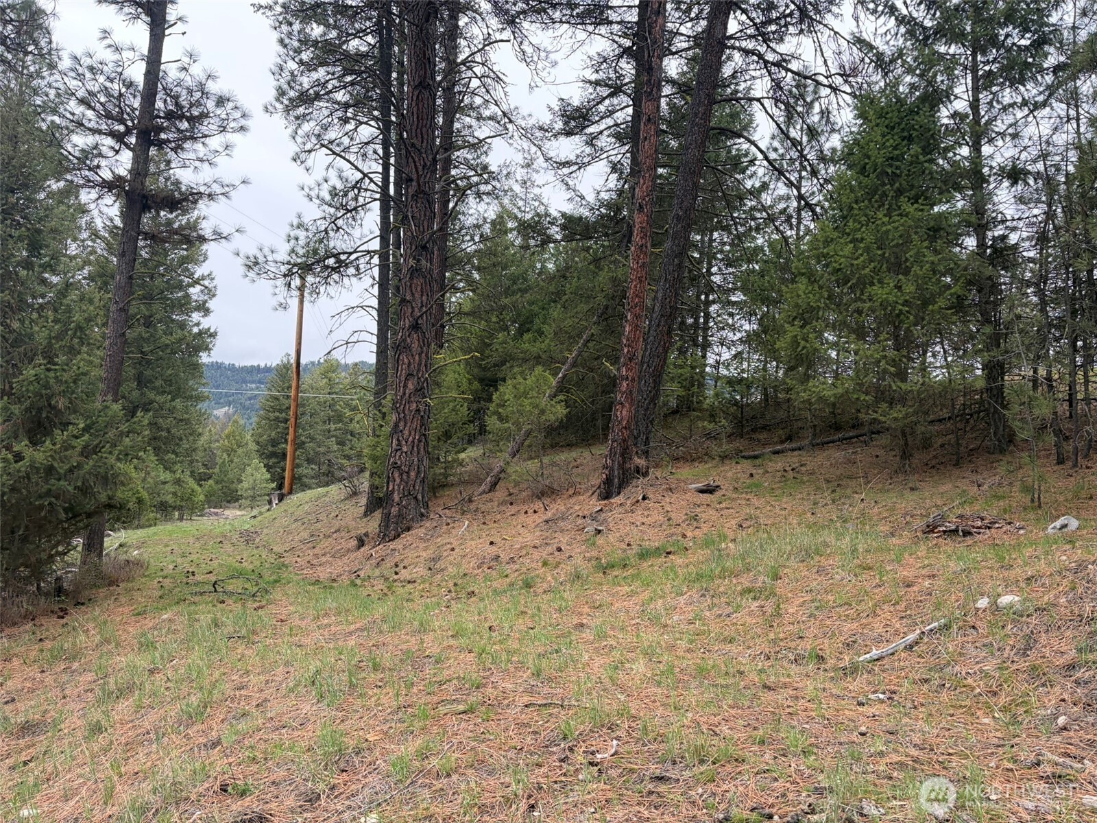 111-tbd Fish Hatchery Road Republic, WA 99166 - Photo 5 of 15